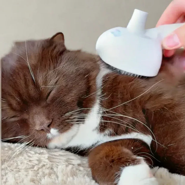 Pets Spray